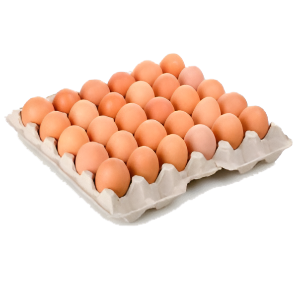 Huevos Super Color 30 Unidades